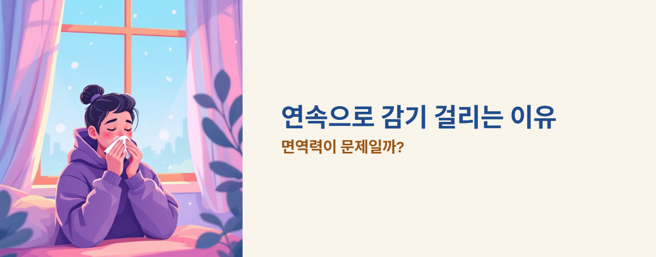 "연속으로 감기 걸리는 이유" 문구 이미지