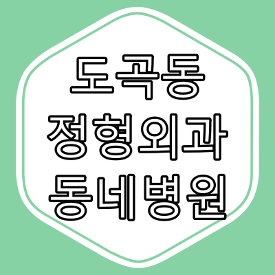 서울시 강남구 도곡동 정형외과 동네 병원