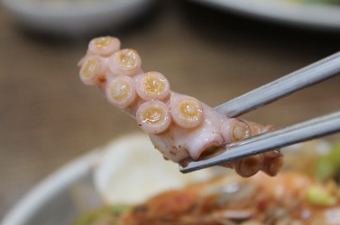 음식