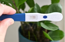 임신극초기&amp;#44; 증상과 자가진단&amp;#44; 주의사항