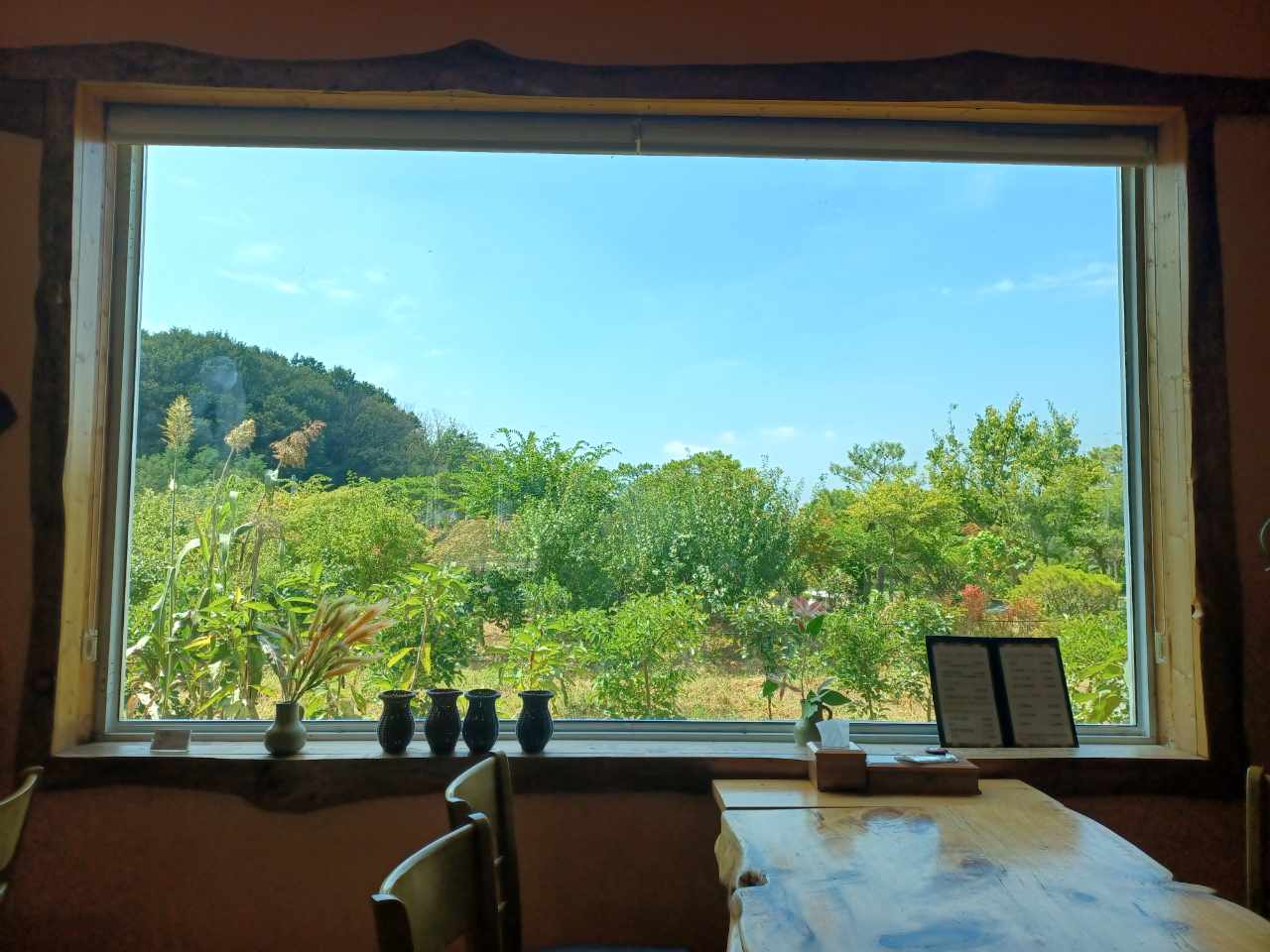 벚나무집