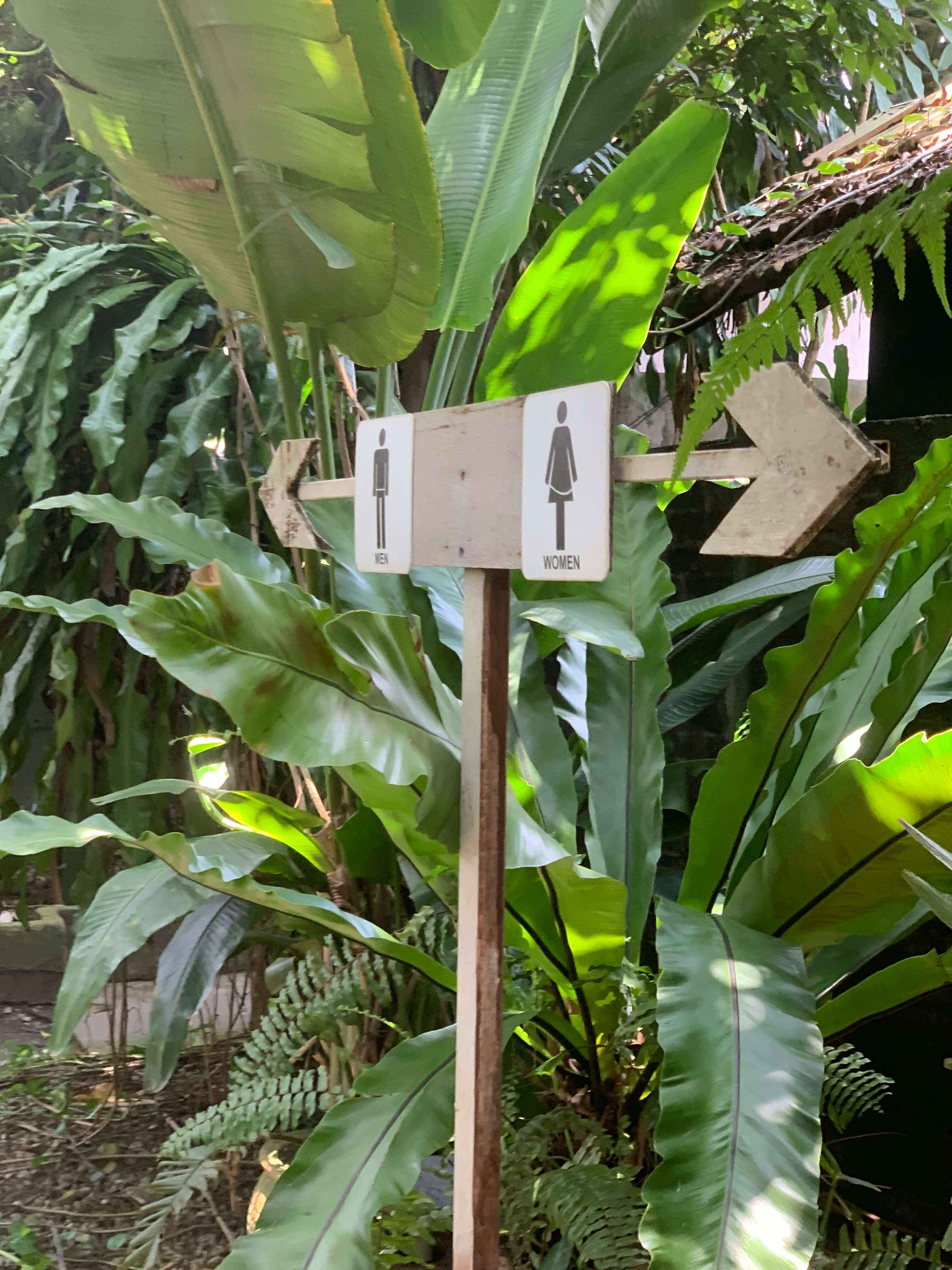 소변 냄새가 심할때