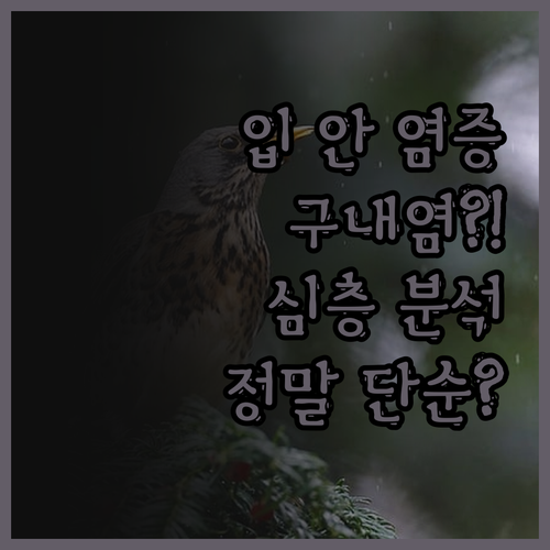 입 안 염증, 단순한 문제가 아니다?