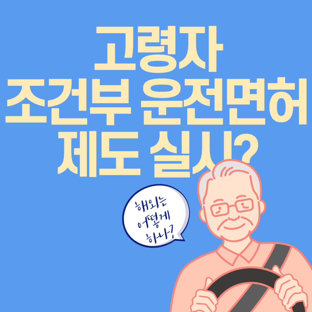 고령자-조건부-운전면허
