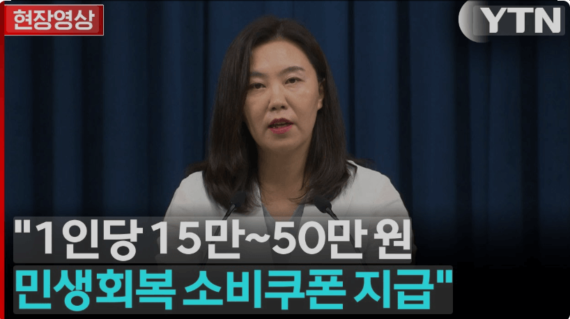 민생회복 소비쿠폰 사용처