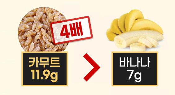 카무트-효능