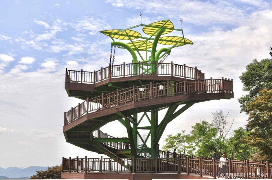 보은 가볼만한곳 베스트10