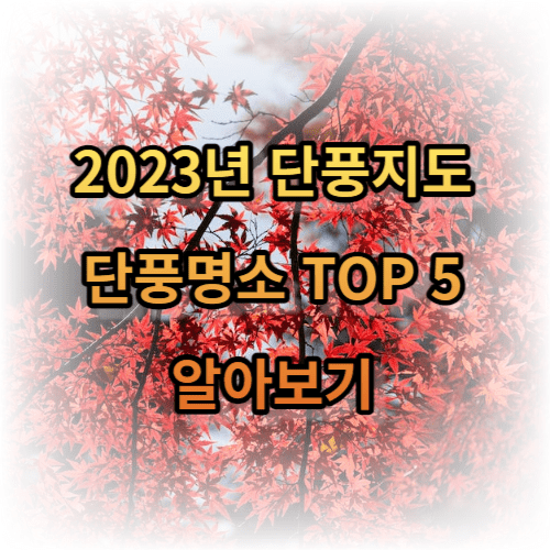 2023년 단풍지도 및 단풍명소 TOP 5 알아보기