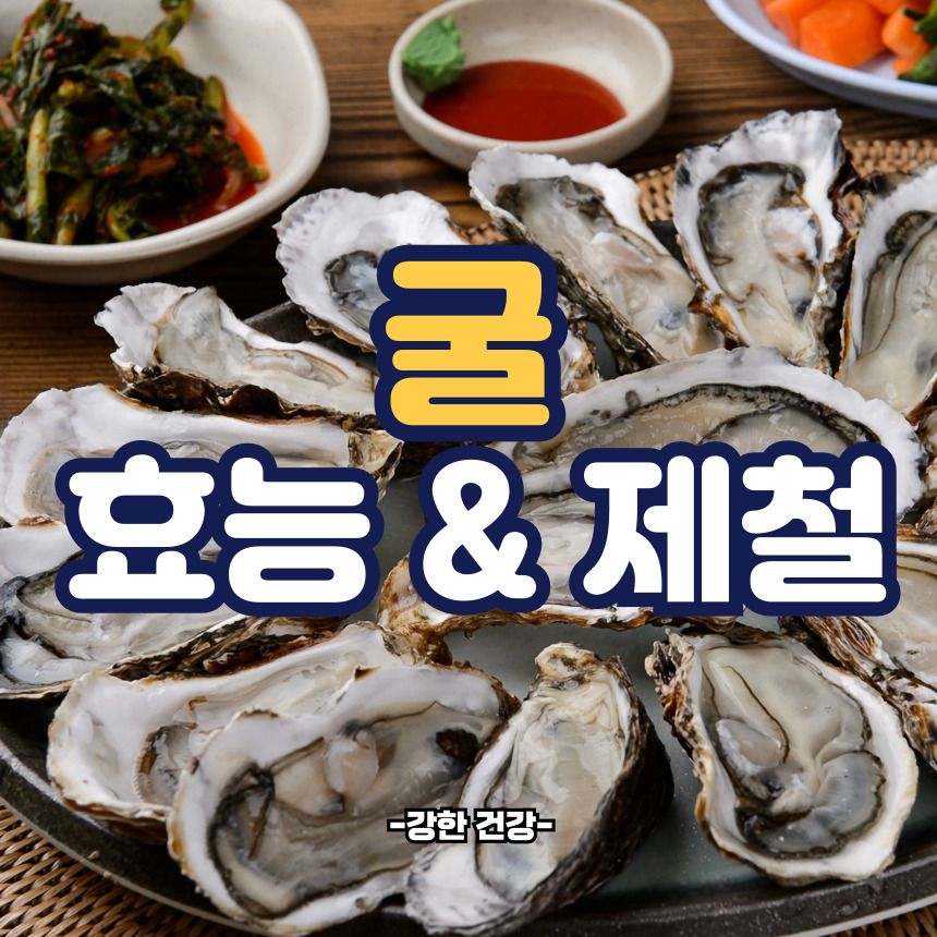 굴 효능