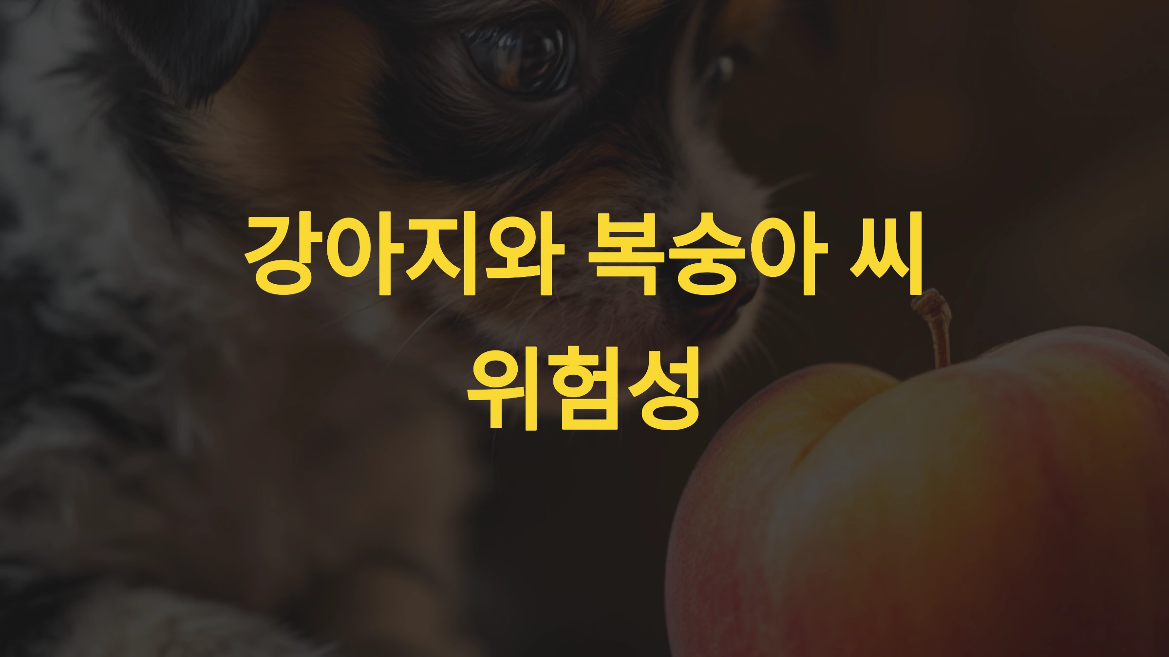 복숭아 씨가 강아지에게 위험한 이유