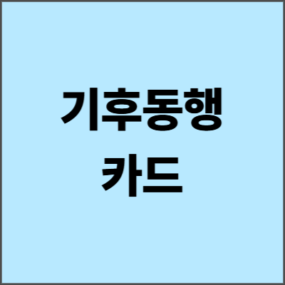기후동행카드 2025년 완벽 가이드 - 서울 대중교통 무제한 이용의 모든 것