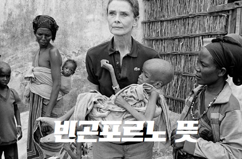 빈곤포르노 뜻 빈곤프로노 빈곤포르토