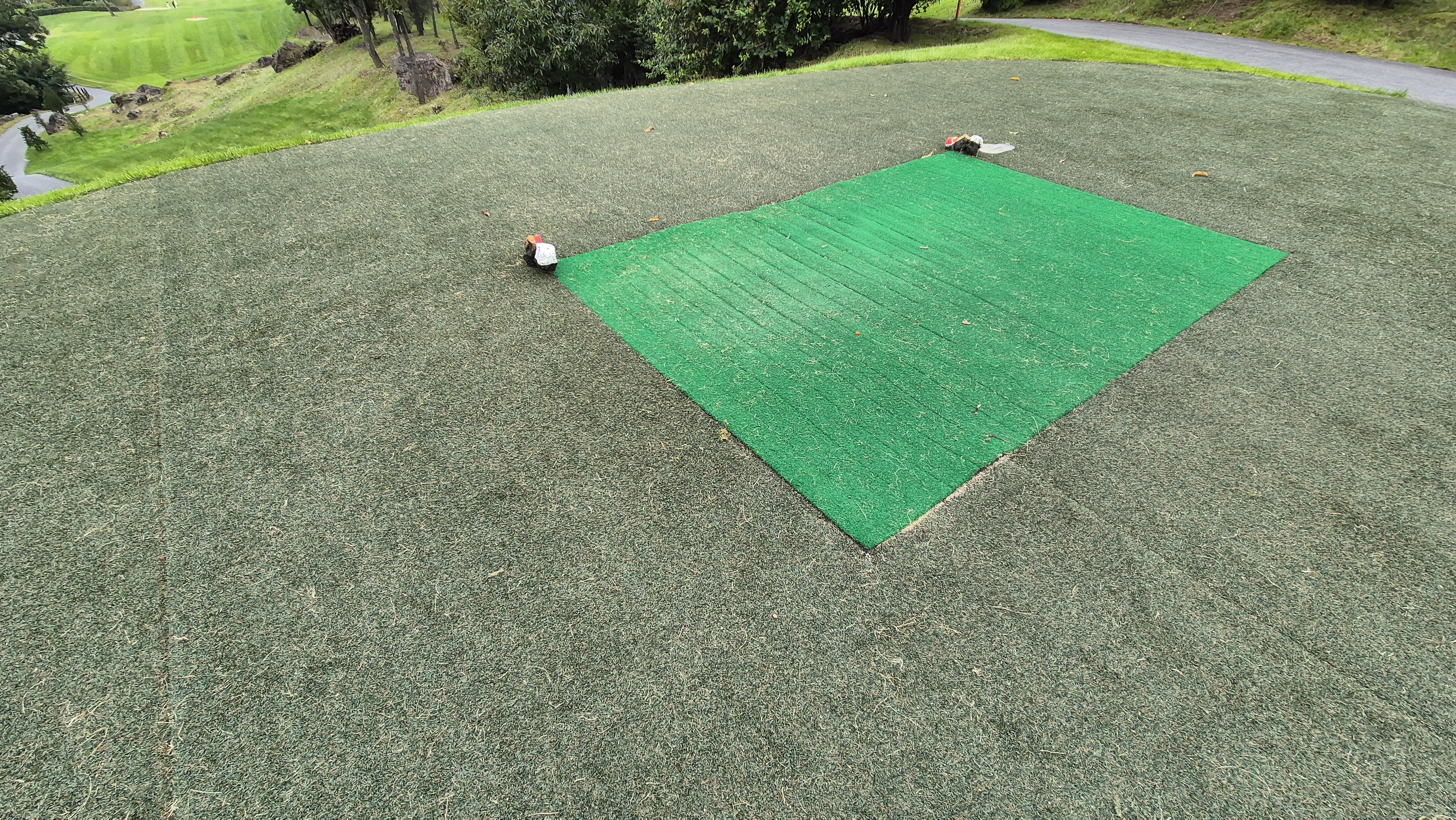 블랙스톤 벨포레cc 티잉구역 상태