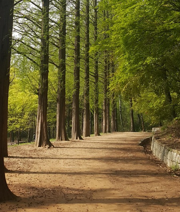 산책로