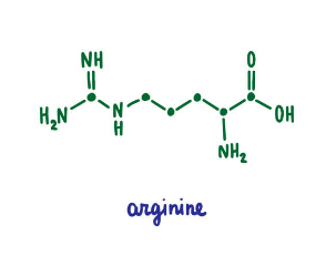 아르기닌 부작용, 아르기닌의 효능, 복용법 총정리 (2025ver)