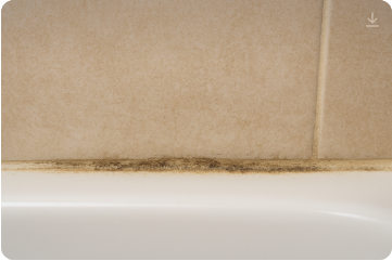 화장실 물때 제거 꿀팁