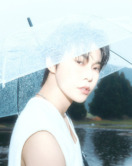도영