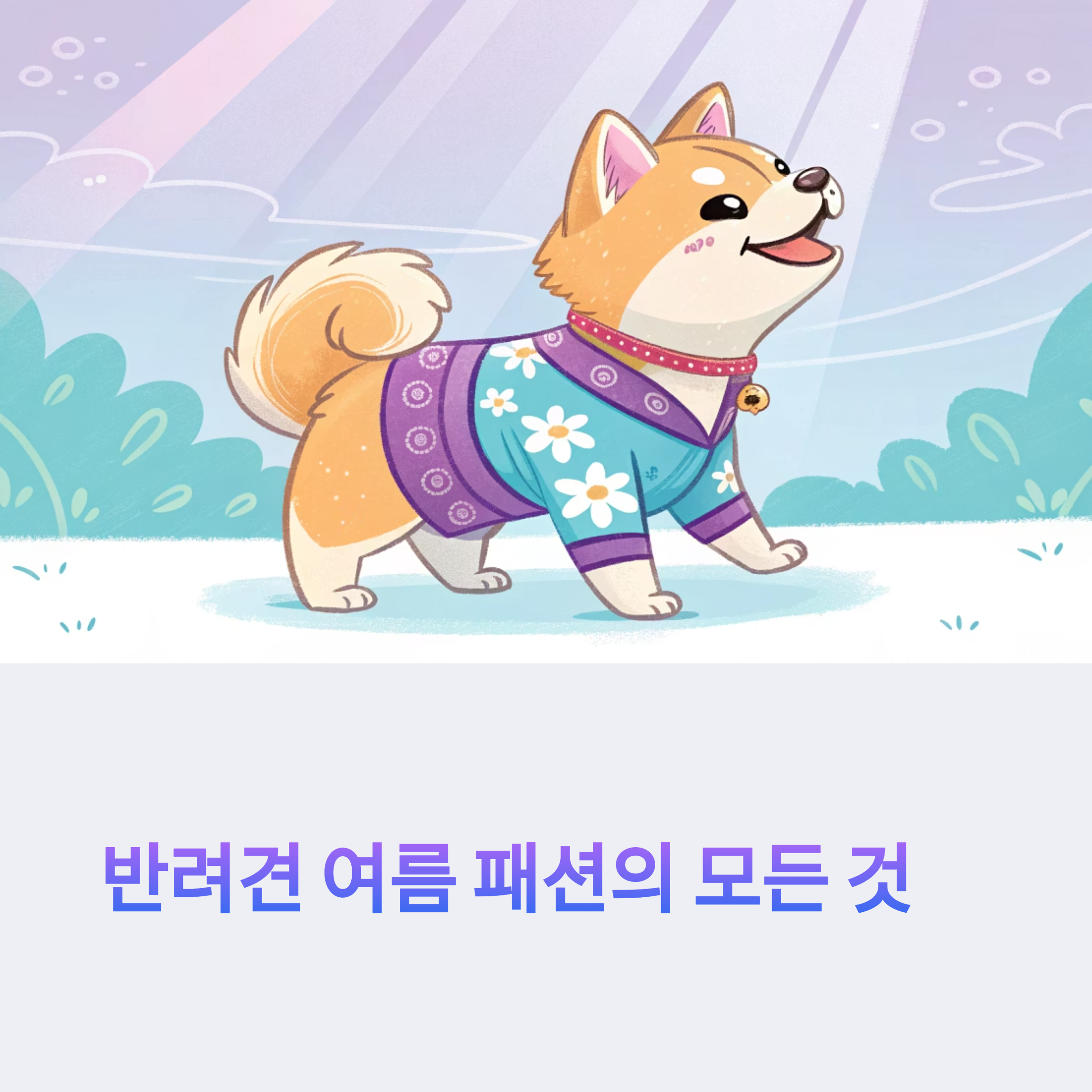 반려견 여름 패션의 모든 것