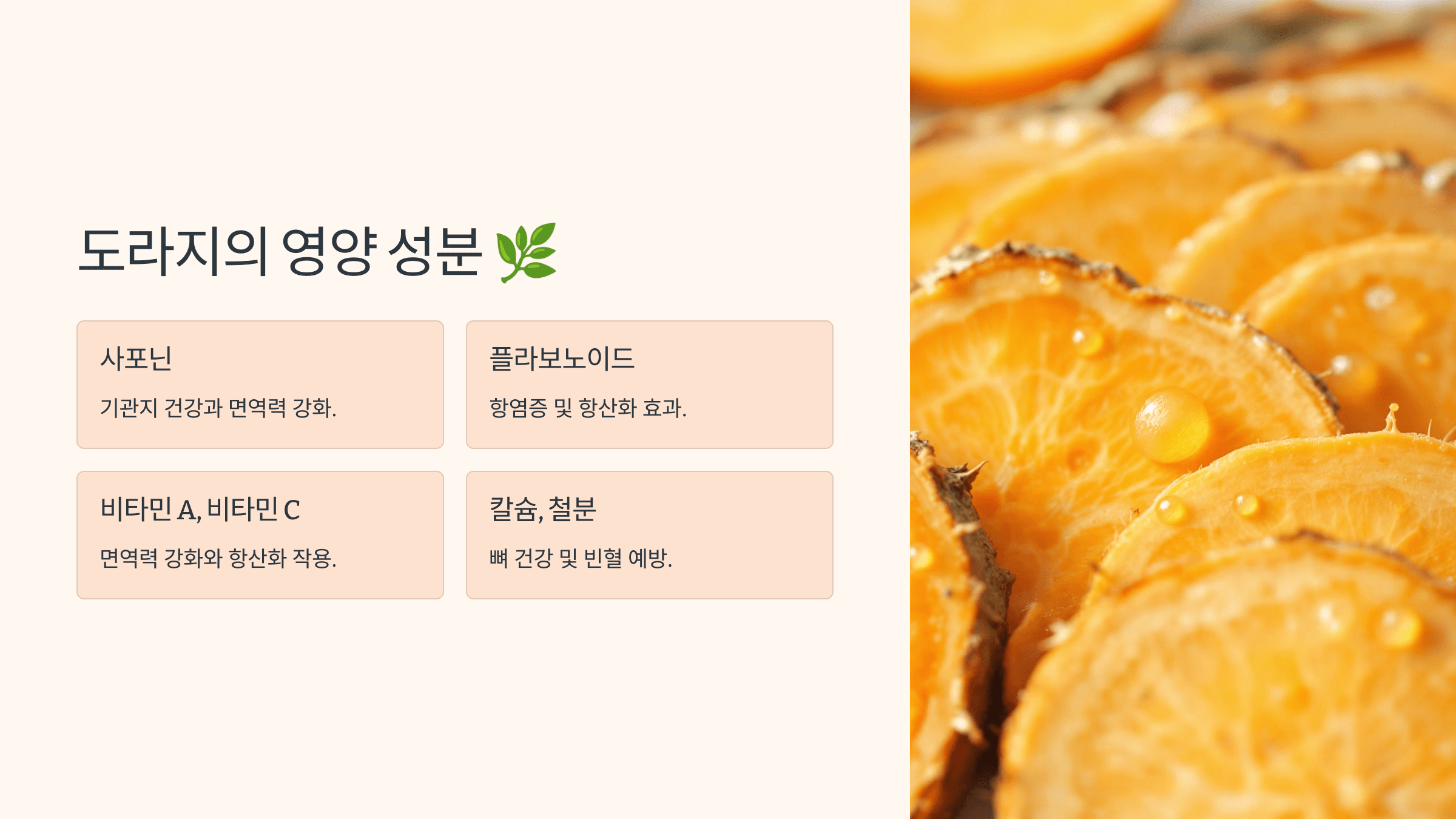 도라지 사진입니다.