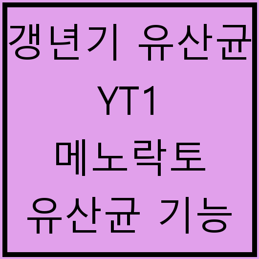 갱년기 유산균 YT1 메노락토 유산균 기능