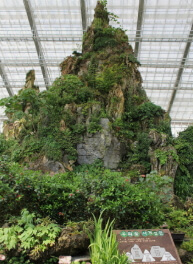 우리꽃식물원 6일간 무료 개방