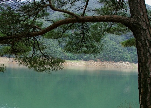 파로호 수달길 전경