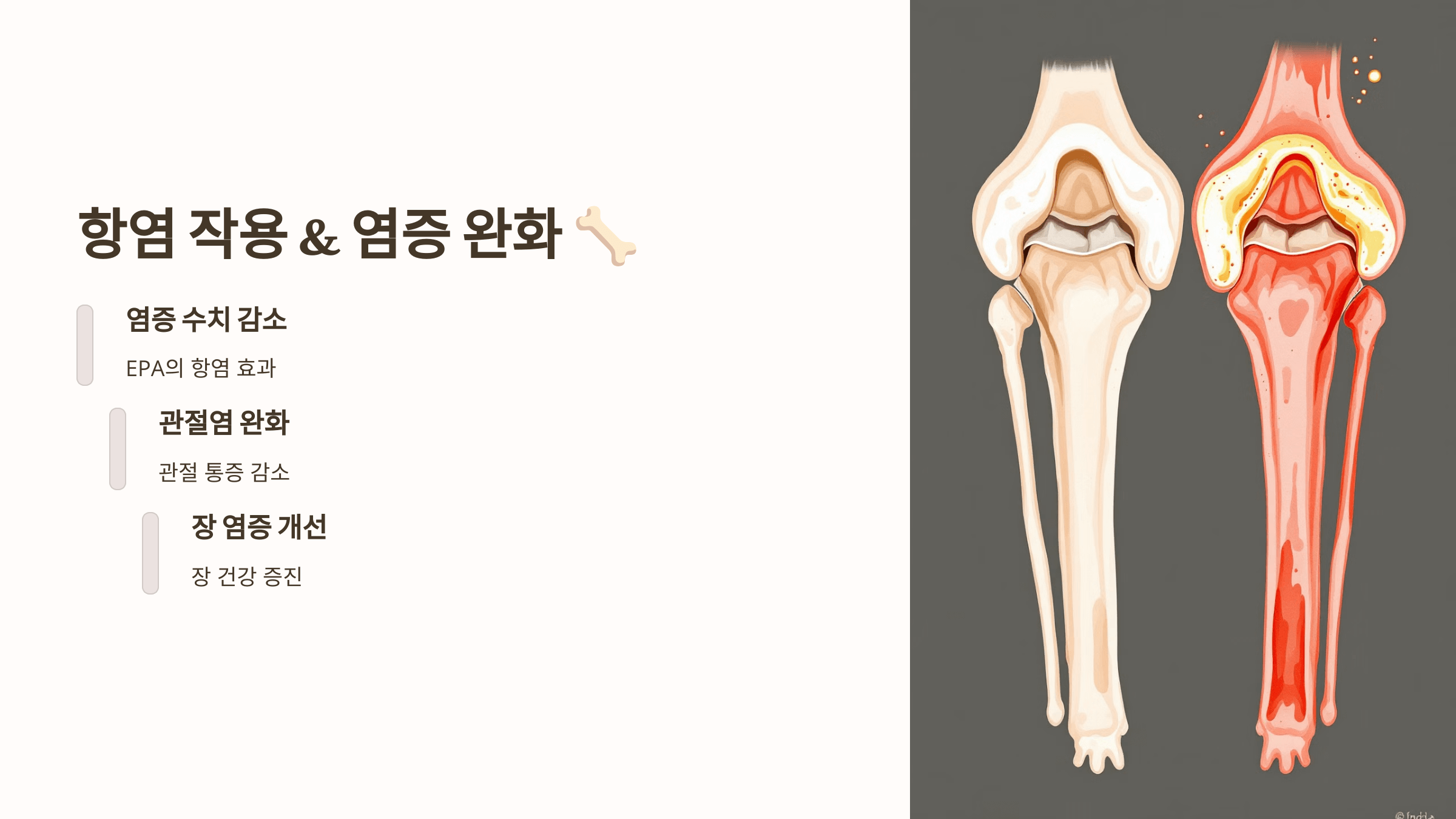 오메가3와 관련된 사진입니다.
