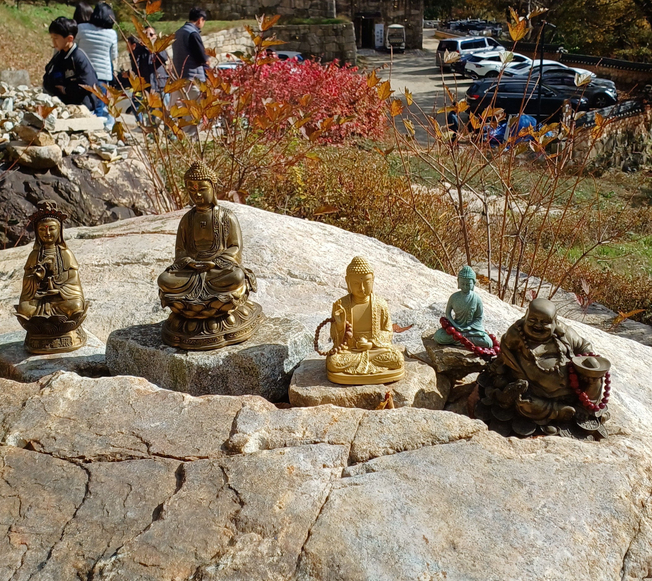 용문사-은행나무-10