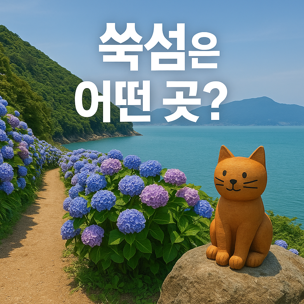 전남 고흥 쑥섬 가는 법부터 예약까지 완벽 정리 (수국 시즌 필수코스!)