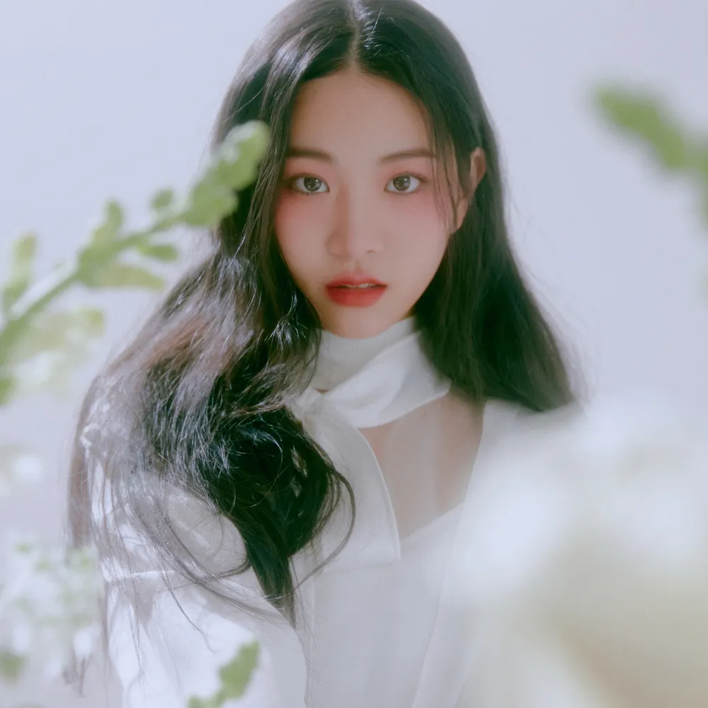 나무위키 아란 사진입니다.