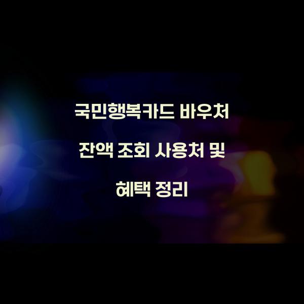 국민행복카드 바우처 잔액