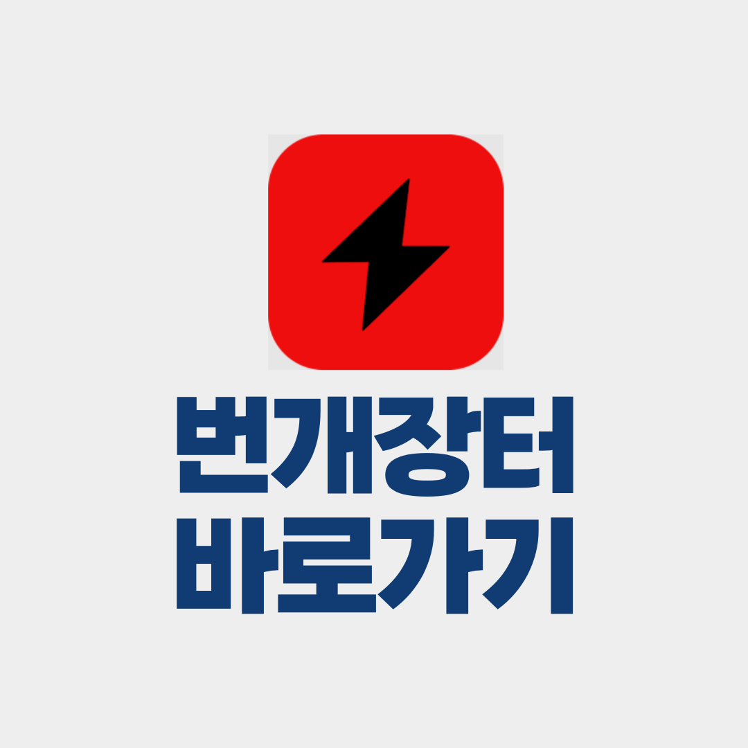 번개장터 바로가기