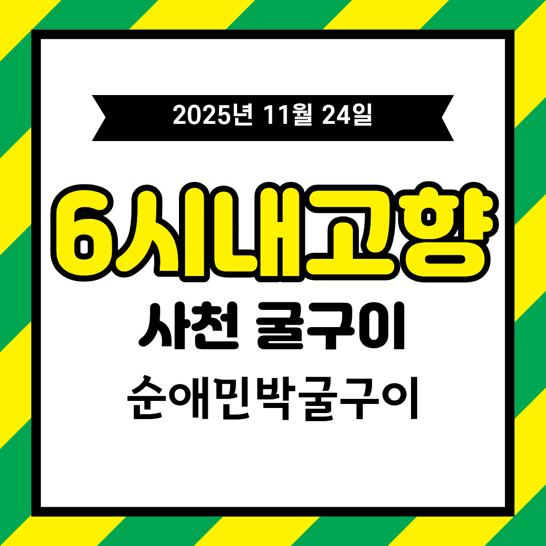 [6시 내고향 &ndash; 2025년 11월 24일] 사천 순애민박 굴구이식당 정보 정리 (숙식 가능)