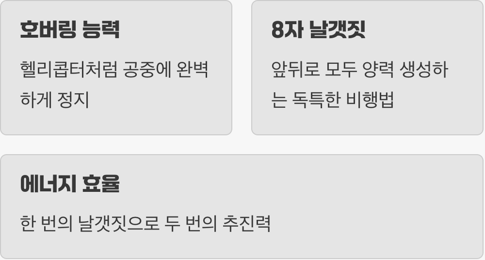 공중에 멈춰서는 마법, 정지 비행