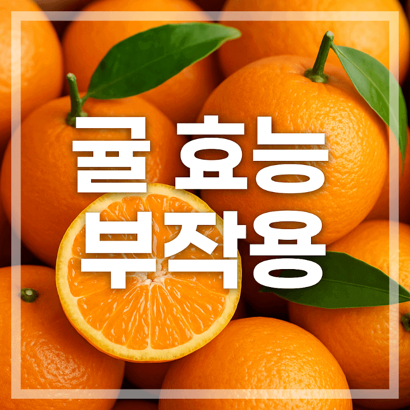 귤 효능 부작용 정리 이미지