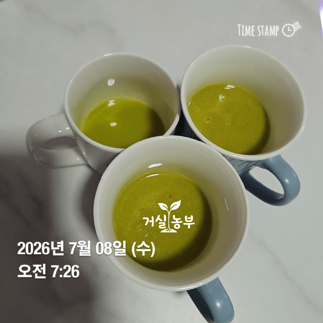 직접 키운 수경재배 케일로 만든 사과 당근 케일 주스