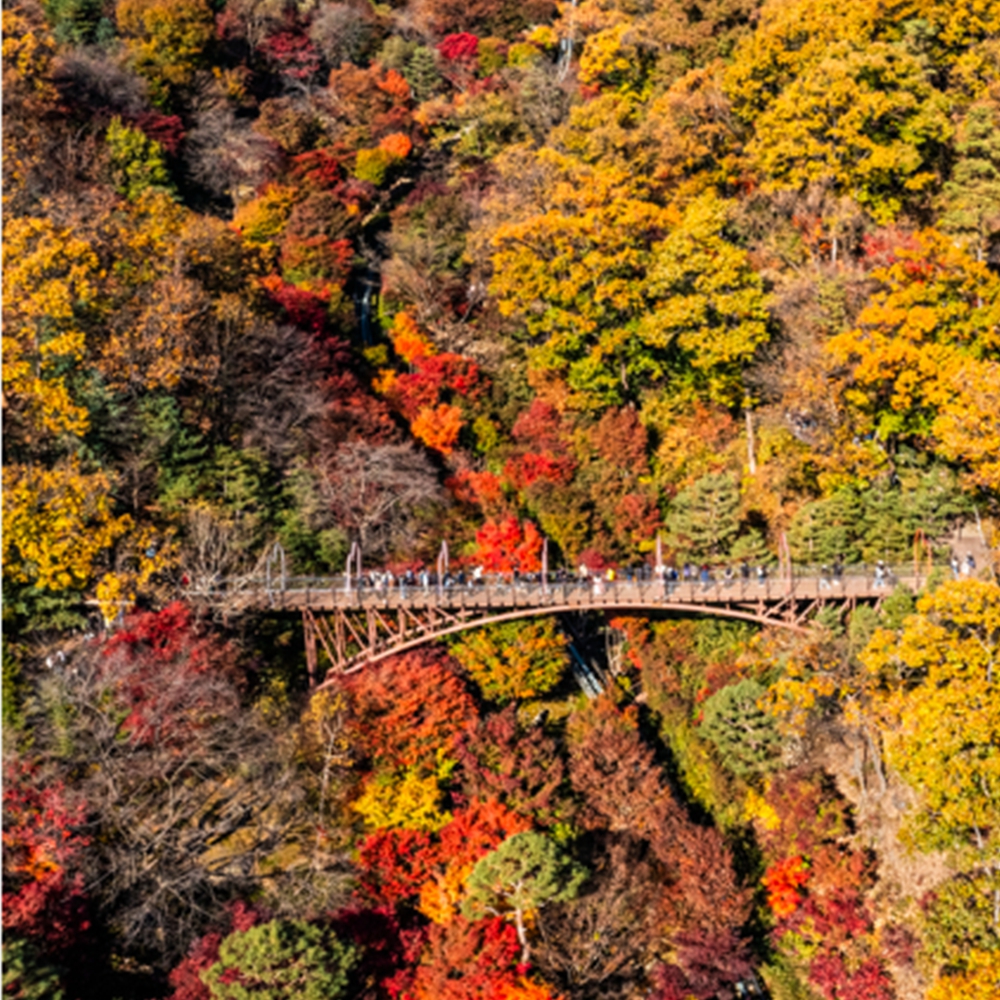 경기도 단풍명소