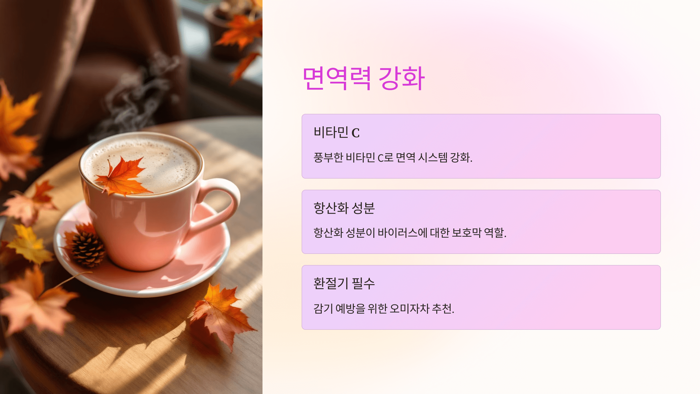 오미자 효능과 관련된 사진입니다.