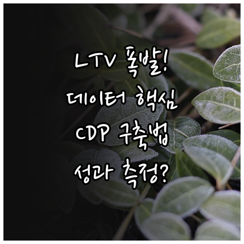 LTV 극대화를 위한 데이터 마케팅 ..