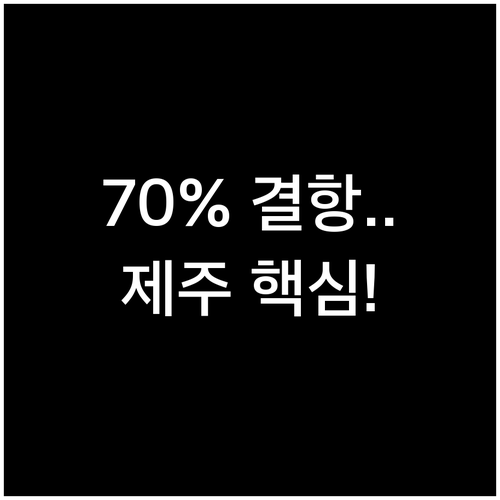 제주 동계 항공 70% 결항 유발 원..