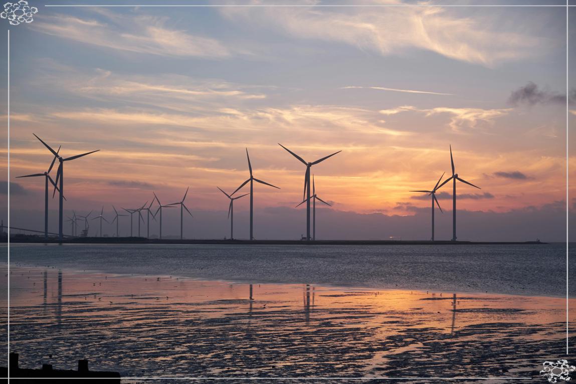 2025년 9월 11일 계미일 띠별 운세 총정리_2 용띠&amp;#44; 뱀띠&amp;#44; 말띠&amp;#44; 양띠