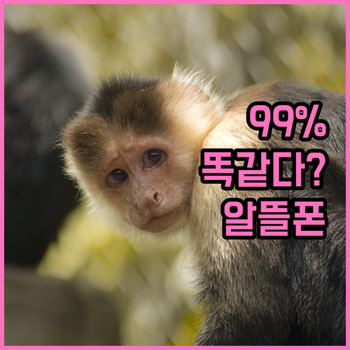 알뜰폰 통화품질, 통신3사와 99% ..