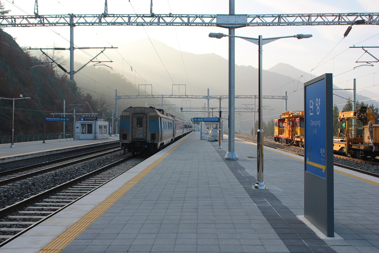 무궁화호 예약 꿀팁 총정리 🚆