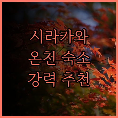 도요타 시라카와-고 에코-인스티튜트.