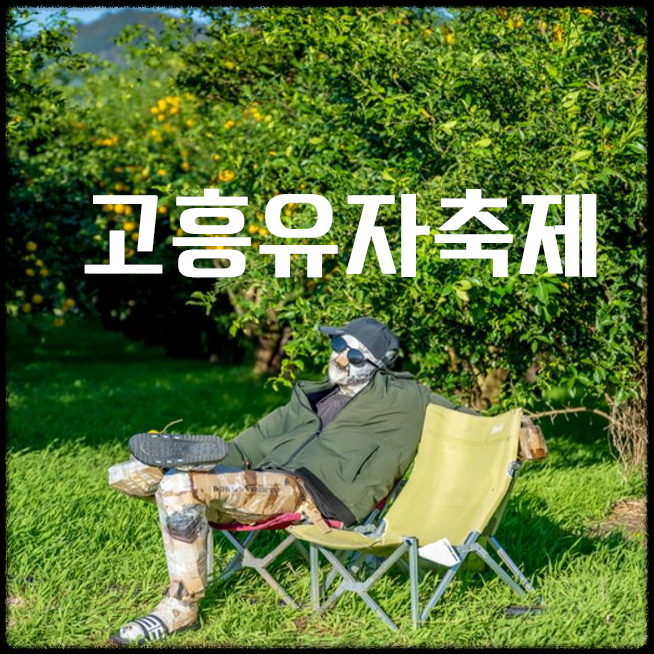 전남 고흥 가을 축제의 끝판왕|유자밭에서 인생샷까지 완전 정복