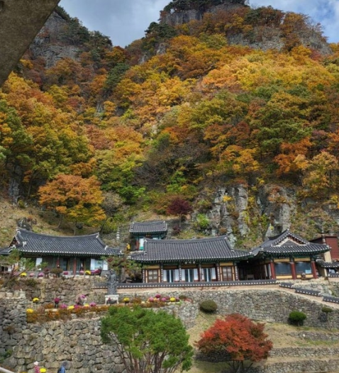 2025 청량산 가을 단풍여행 ❘ 최단코스&middot;실시간 단풍 현황&middot;주차장 안내