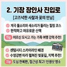 동부산 벚꽃 명소 BEST 4