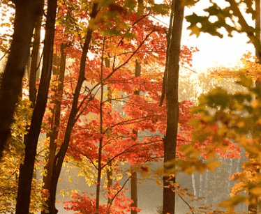 9월 인사말 모음집