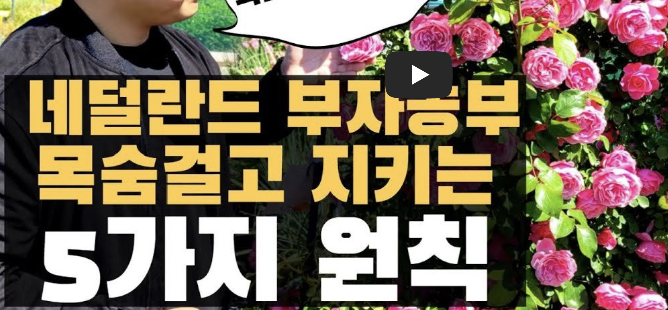 네델란드 부자 농부 메인 이미지