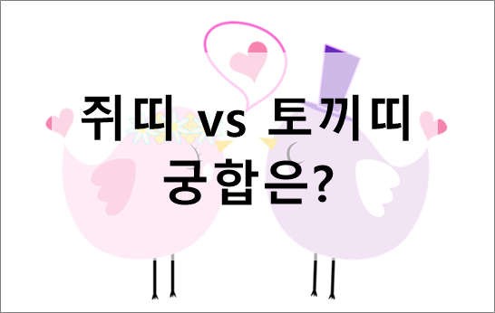 쥐띠-토끼띠-궁합